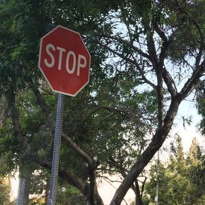 Meet your Posher, Summer